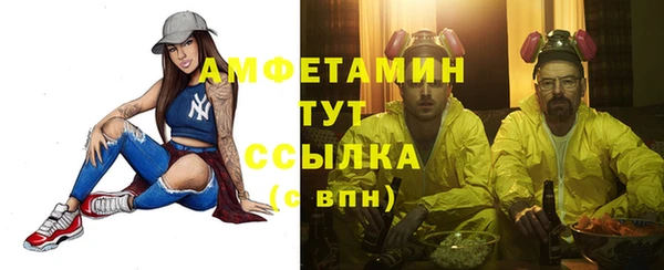 ГАЛЛЮЦИНОГЕННЫЕ ГРИБЫ Елабуга