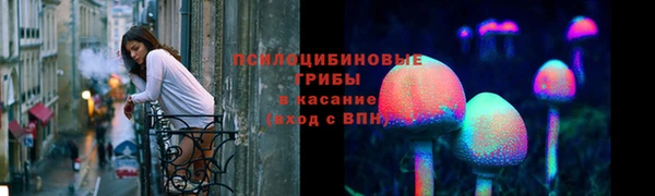 дурь Елизово