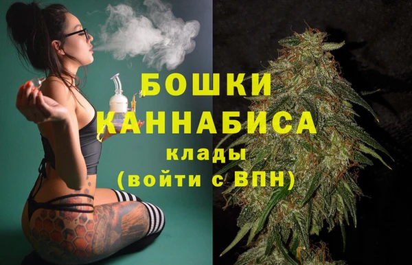 дурь Елизово