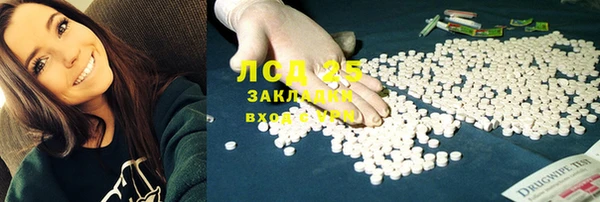 ГАЛЛЮЦИНОГЕННЫЕ ГРИБЫ Елабуга